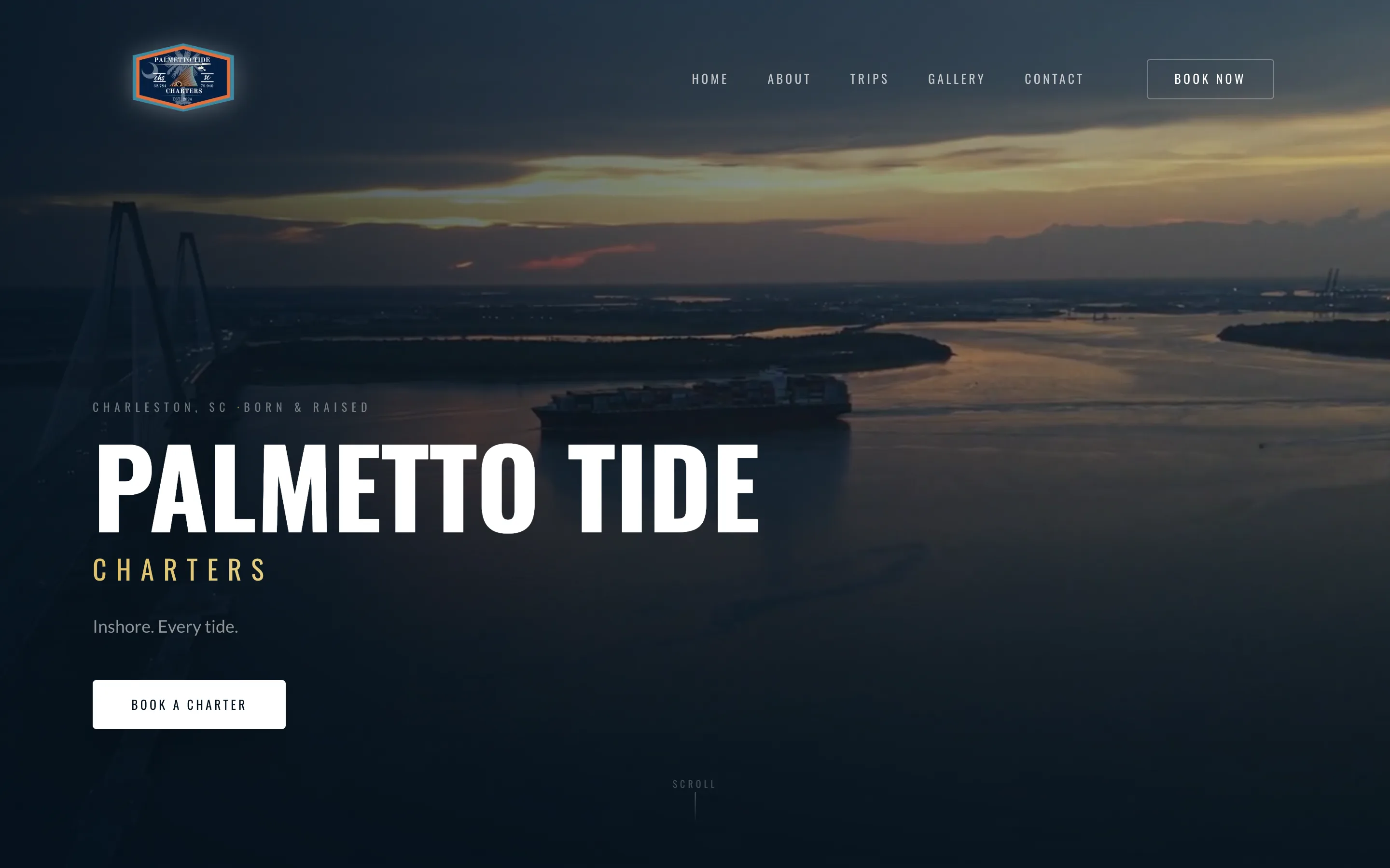 Palmetto Tide Charters homepage — full-bleed video hero over the Charleston harbor with a booking call to action